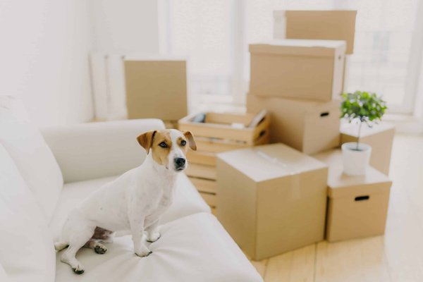 How to Pick the Right Type of Block Heel for All-Day Comfort and Style?