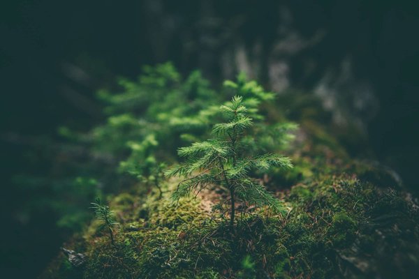 How to Foster Innovation and Creativity in a UK Corporate Environment?